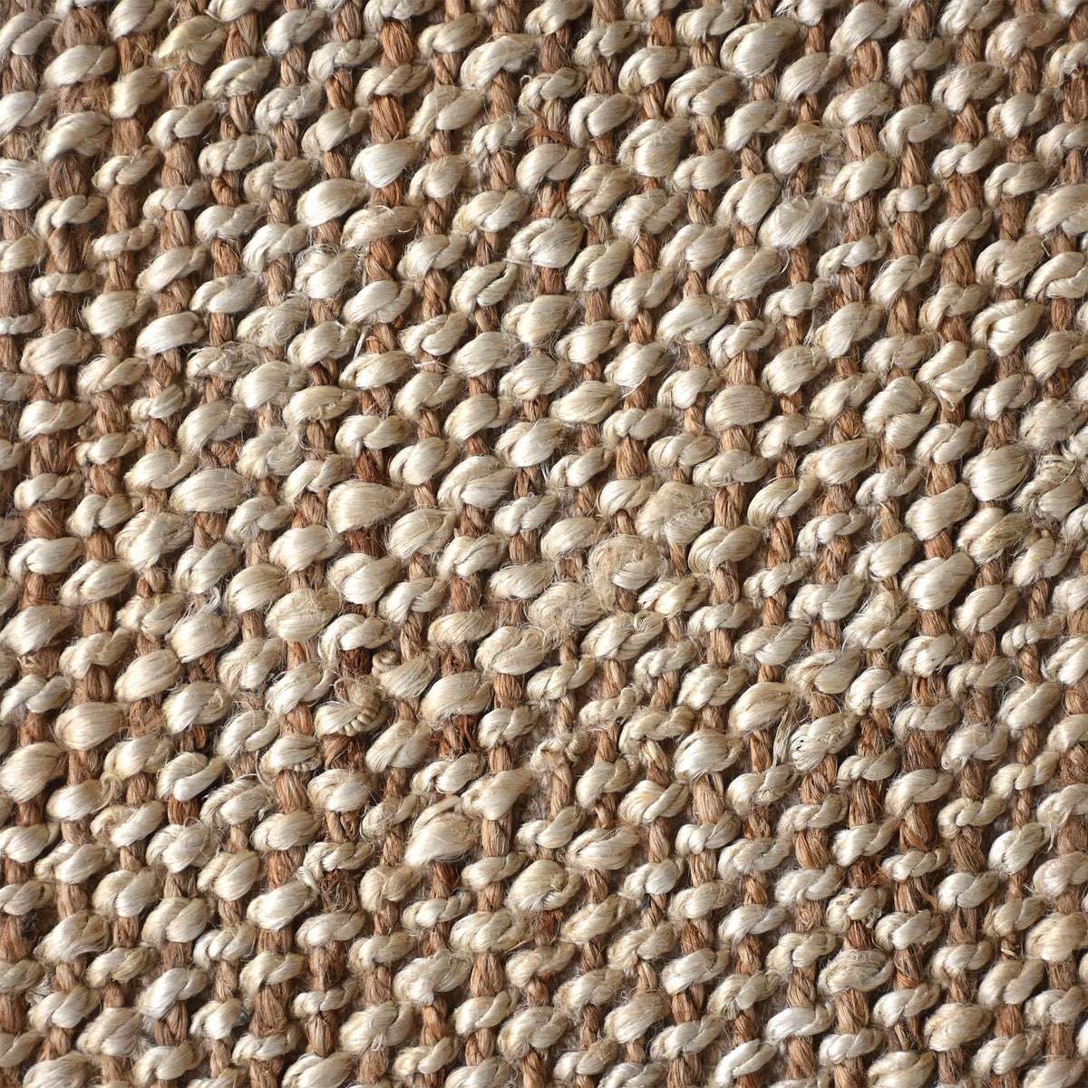 Mesa Flatweave Jute & Wool Rug
