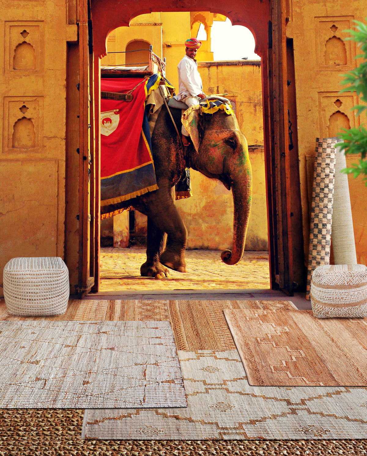 Jute, Amer Fort